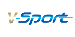 VWorld game provider