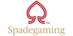 VWorld game provider