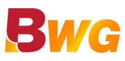 VWorld game provider