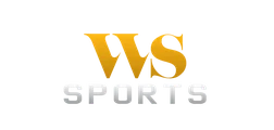 VWorld game provider